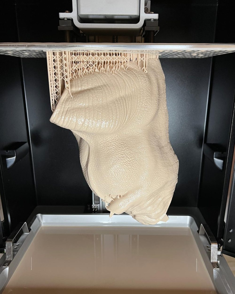 Torso de gran formato